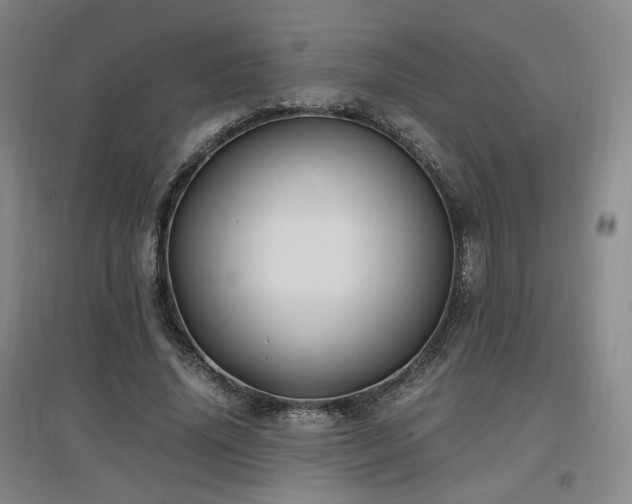 X0000097460636200802221214