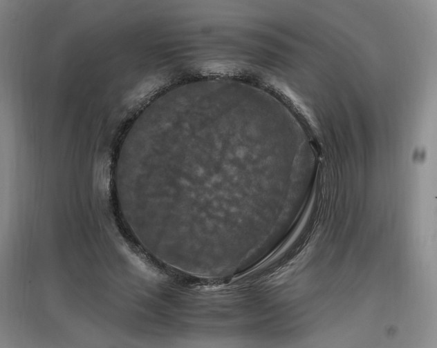 X0000097460637200802221214