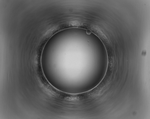 X0000097460639200802221214