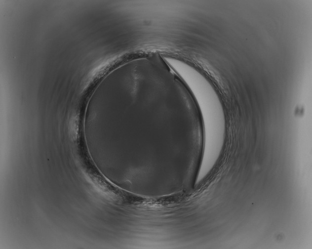 X0000097460640200802221214