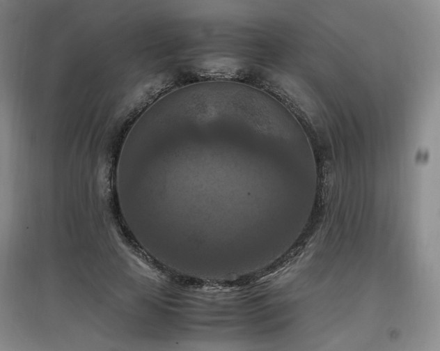X0000097460641200802221214