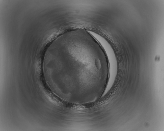 X0000097460642200802221214