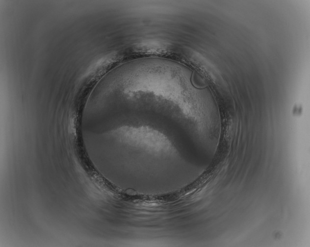 X0000097460643200802221214