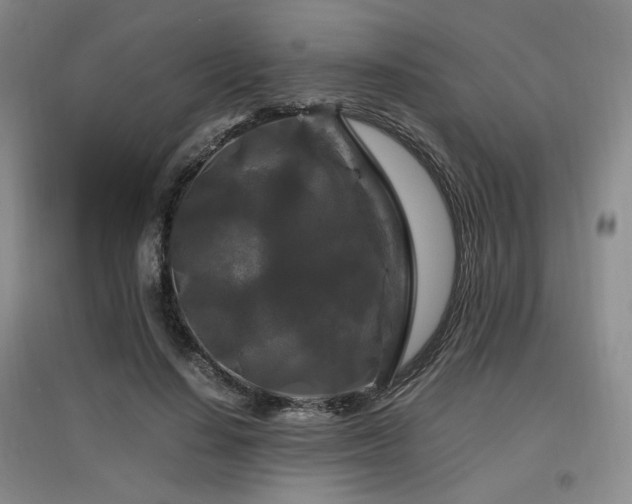 X0000097460644200802221214