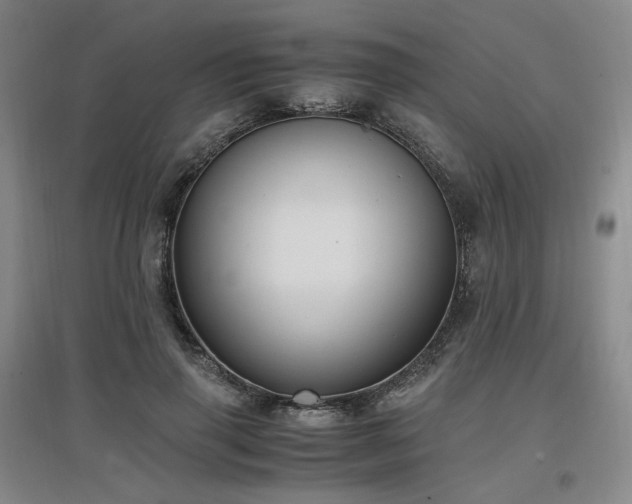 X0000097460645200802221214
