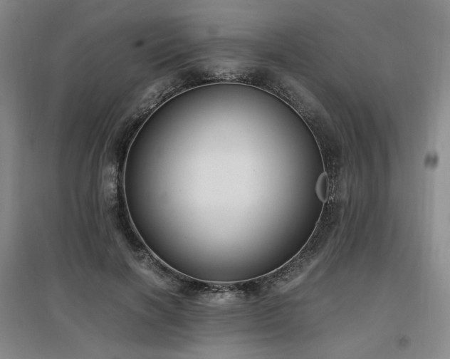 X0000097460646200802221214