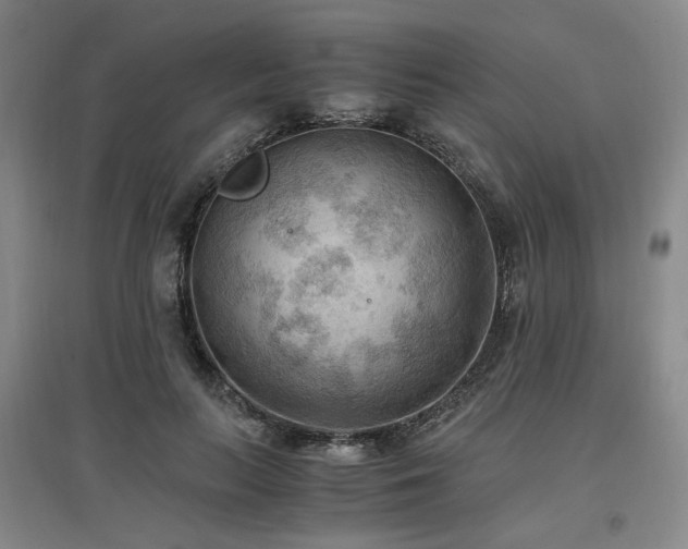 X0000097460647200802221214