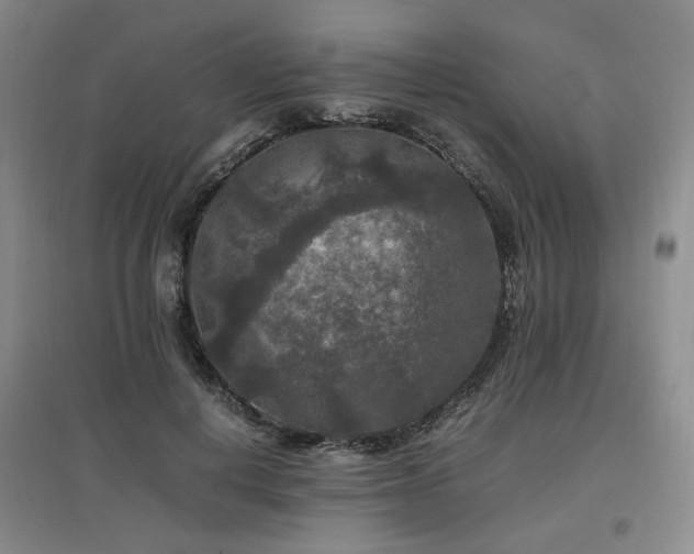 X0000097460648200802221215