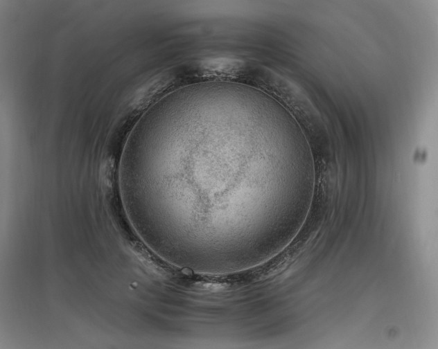 X0000097460649200802221215
