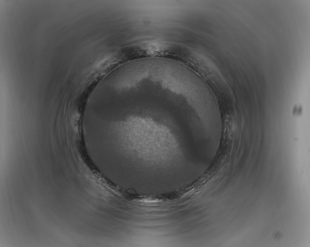X0000097460650200802221215
