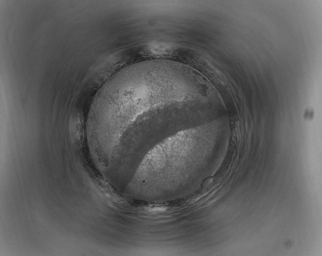 X0000097460651200802221215