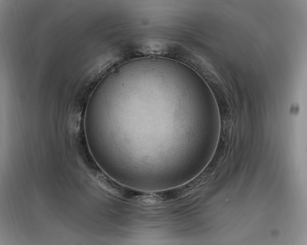 X0000097460652200802221215
