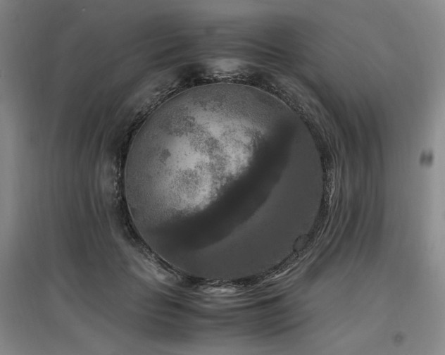 X0000097460653200802221215