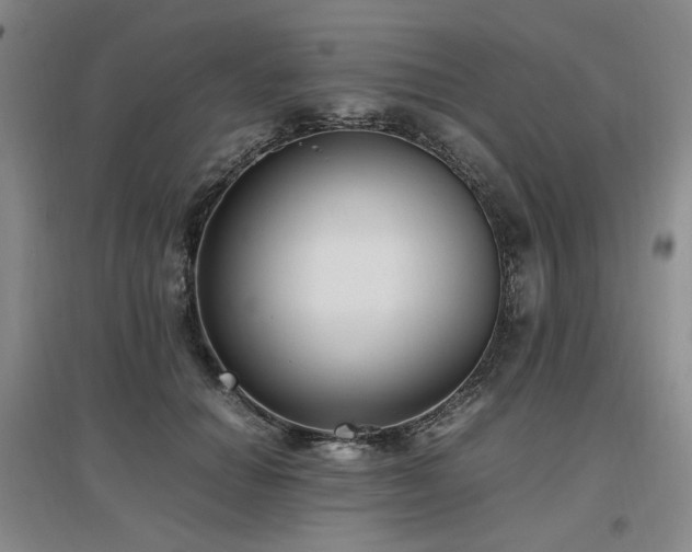 X0000097460654200802221215