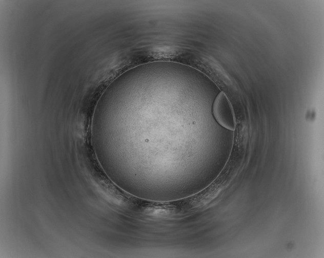 X0000097460655200802221215