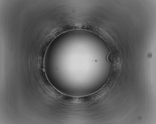 X0000097460656200802221215