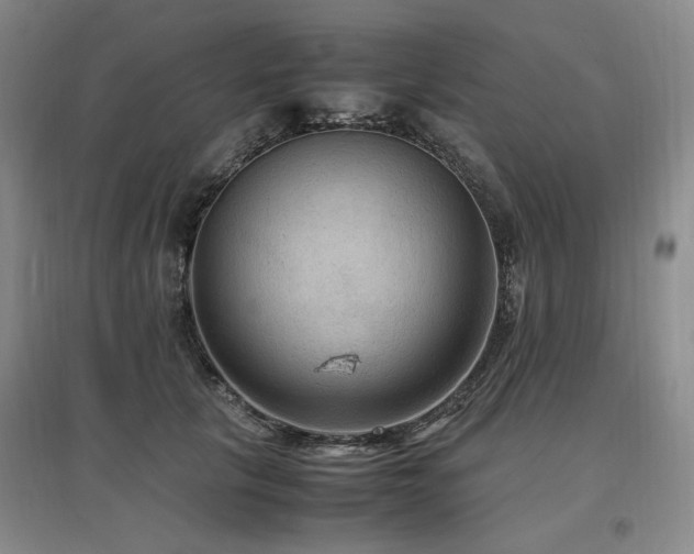 X0000097460657200802221215