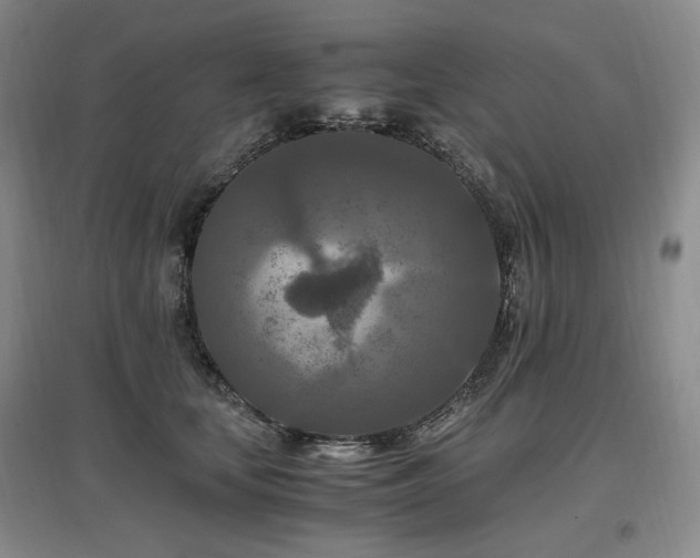 X0000097460659200802221215