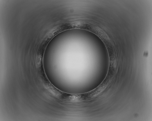 X0000097460660200802221215