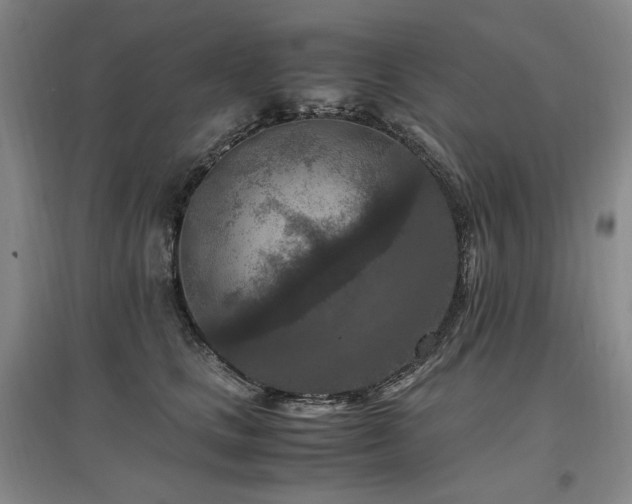 X0000097460661200802221215