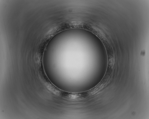 X0000097460662200802221215