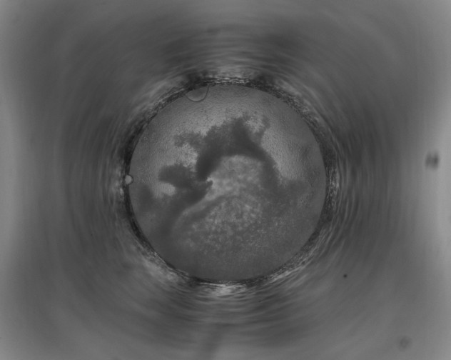 X0000097460663200802221215