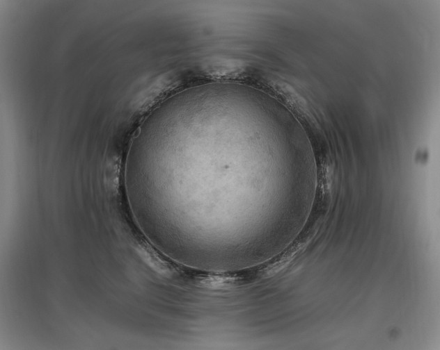 X0000097460664200802221215