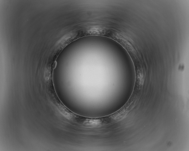 X0000097460665200802221215