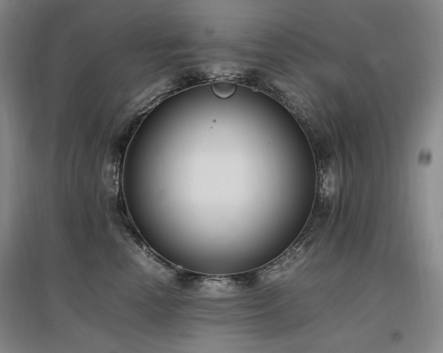 X0000097460666200802221215