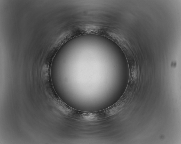 X0000097460667200802221215