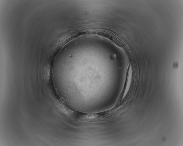 X0000097460668200802221215