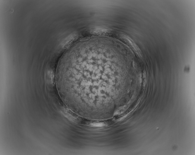 X0000097460669200802221215