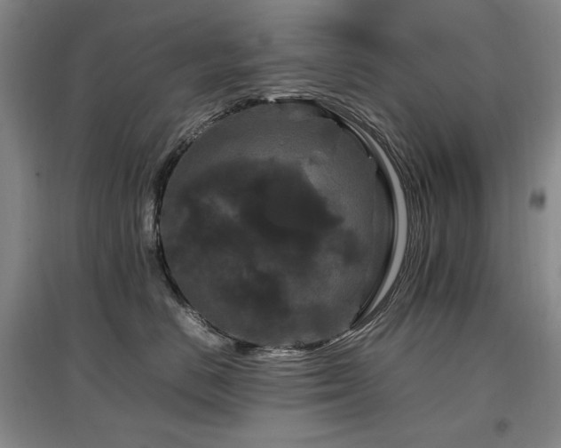 X0000097460670200802221215