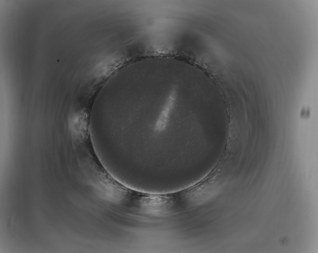 X0000097460672200802221215