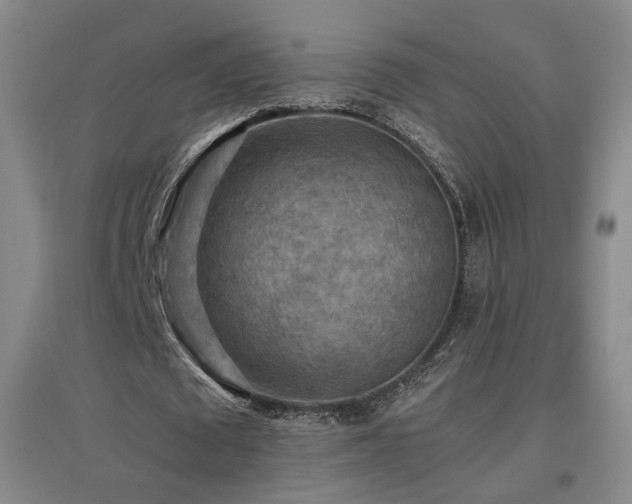 X0000097460673200802221214