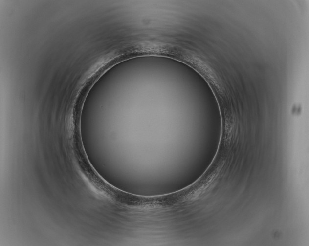 X0000097460674200802221214