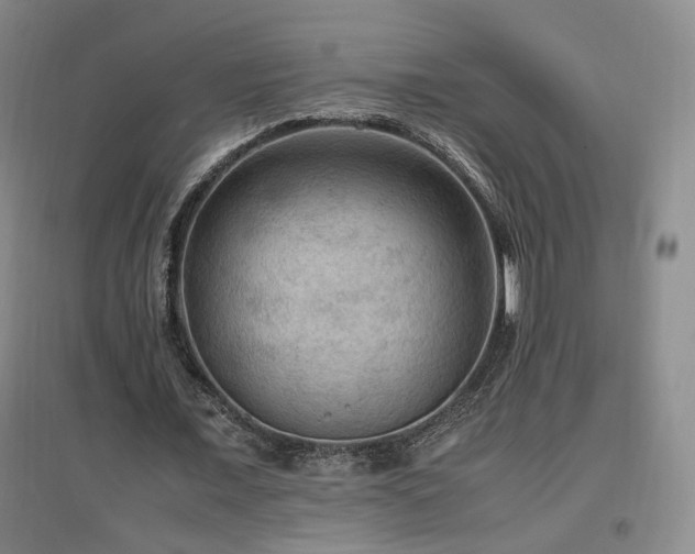 X0000097460675200802221214