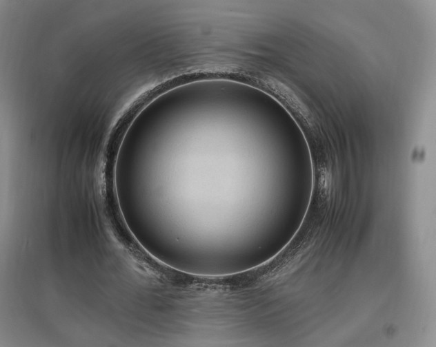 X0000097460676200802221214