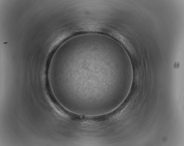 X0000097460677200802221214