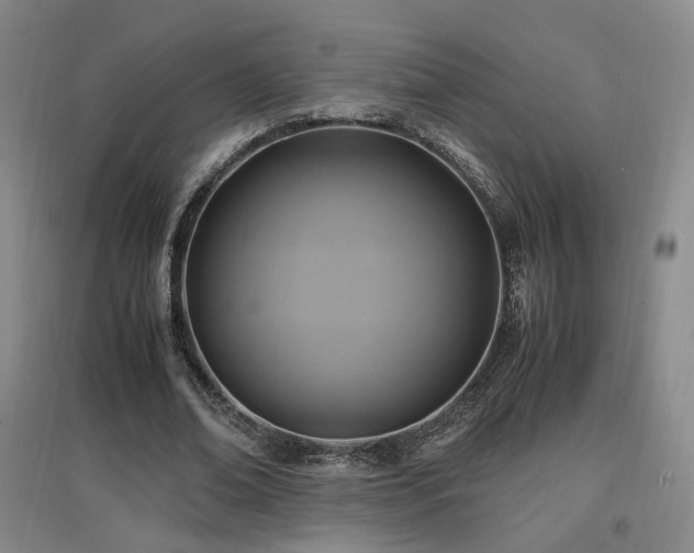 X0000097460678200802221214