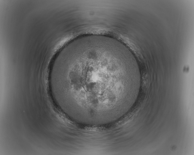 X0000097460679200802221214