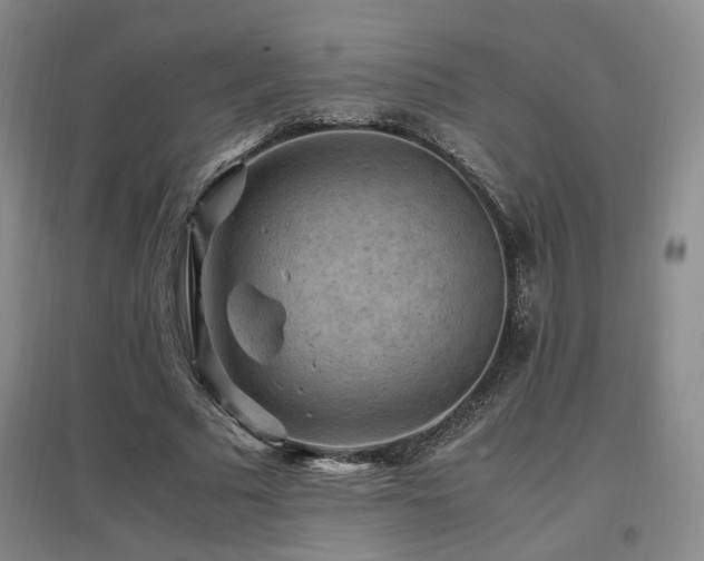 X0000097460681200802221214