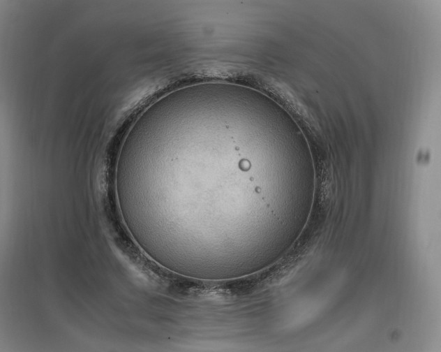 X0000097460683200802221214