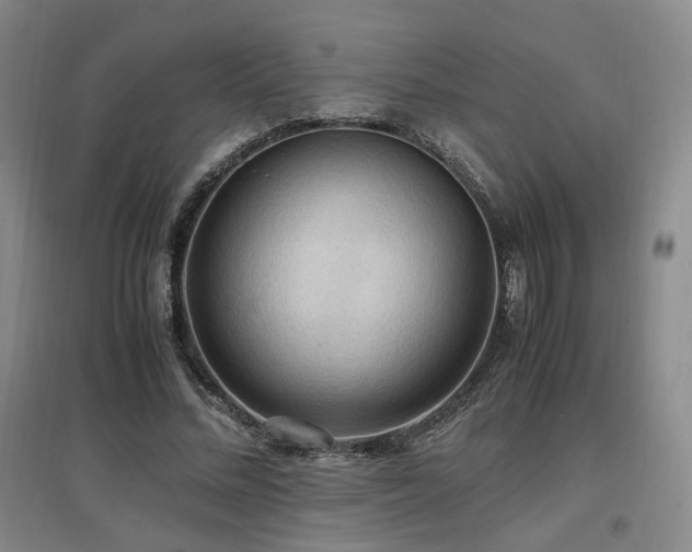 X0000097460684200802221214