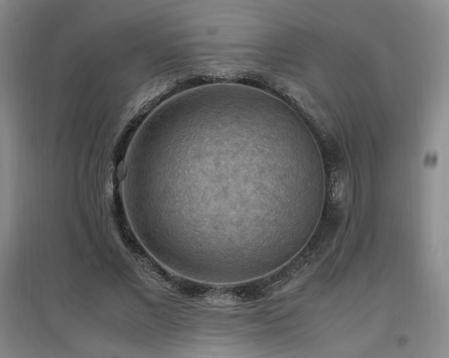 X0000097460685200802221214