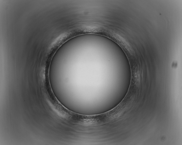 X0000097460686200802221214