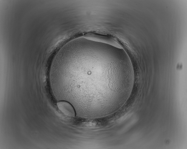 X0000097460687200802221214
