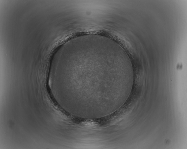 X0000097460689200802221214