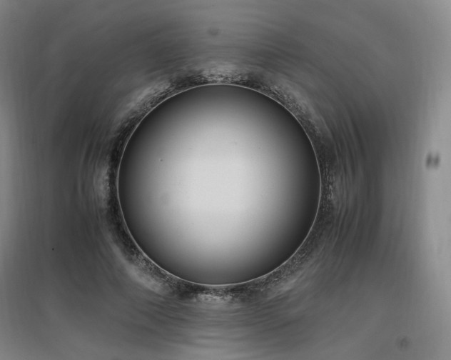 X0000097460690200802221214