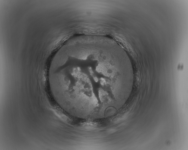 X0000097460691200802221214